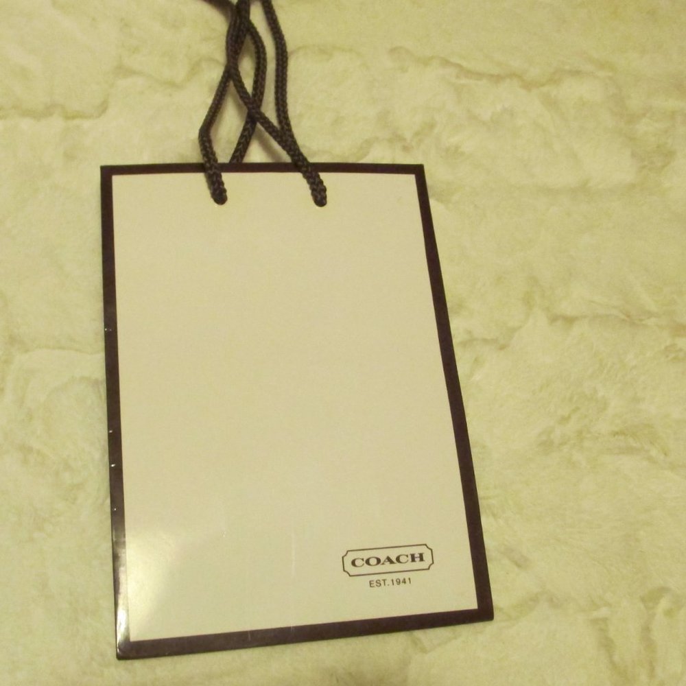 Small coach gift bag